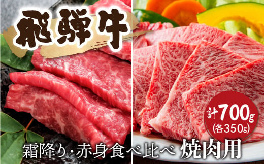 《年内発送》飛騨牛 霜降り・赤身 焼肉 各350ｇ（計700g） 牛肉 和牛 バラ モモカタ 食べ比べ 贈り物 ギフト 飛騨市 年内配送 年内お届け 12月