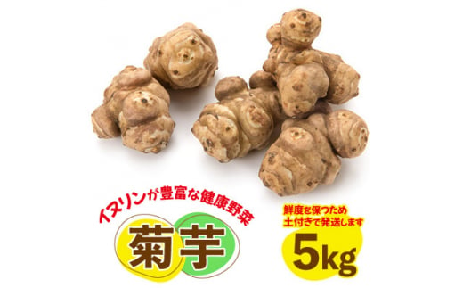 菊芋(きくいも)健康野菜5kg【14345