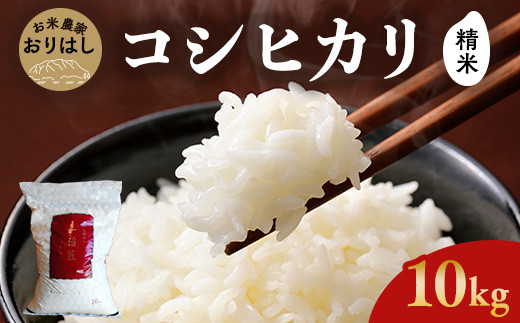 広島県竹原市のふるさと納税 【先行予約】お米 コシヒカリ 精米 10kg◇｜おにぎり 竹原市 小梨町 お米農家 おりはし　【 広島県産 白米 名水 甘み おむすび ご飯 】※2024年9月頃より順次発送予定