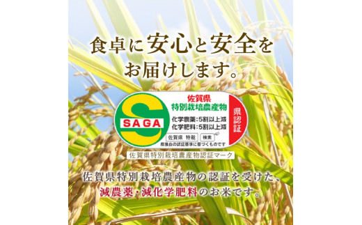 10月から順次発送】 令和6年産 特別栽培 棚田米「福の米」 5kg×6回 （定期便） B671 - 佐賀県伊万里市｜ふるさとチョイス -  ふるさと納税サイト