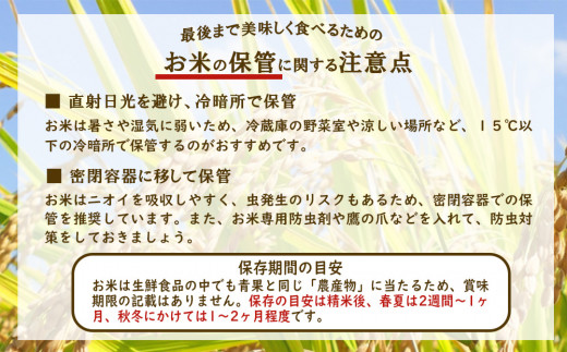 【定期便】 限定品 えびの産 ヒノヒカリ 真幸米 5kg×6ヶ月