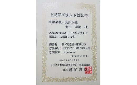 活き〆超急速冷凍車えび 750g（約24～33尾）