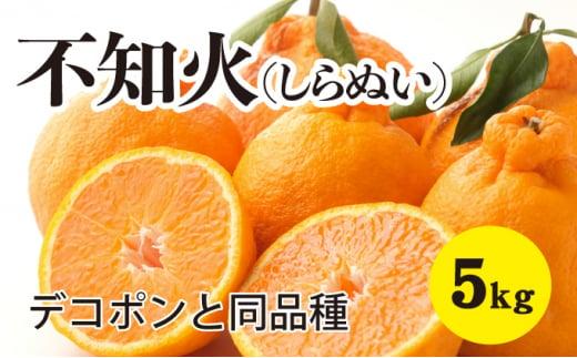 【先行予約】しらぬい約5kg【2025年3月以降発送】不知火 広島 三原 佐木島 鷺島みかんじま デコポン デコちゃん フルーツ 蜜柑 柑橘 果物 みかん ミカン 産地直送 お取り寄せ 017027 776909 - 広島県三原市