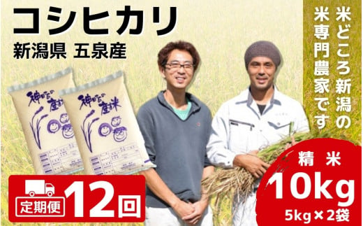 【令和6年産新米先行予約】 〈12回定期便〉 「わくわく農場」の五泉産 精米 コシヒカリ 10kg (5kg×2袋) 新潟県 五泉市 わくわく農場 ［2024年10月中旬以降順次発送］ 1433355 - 新潟県五泉市