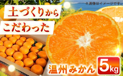 [自然の力を活かした栽培]温州みかん(普通) 5kg -2024年12月下旬より発送- 長与町/農事組合法人希望種(きぼうのたね) 