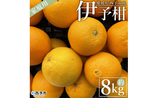 [愛媛県西予市産 伊予柑 家庭用 約8kg] 訳あり ワケアリ 果物 くだもの ミカン 柑橘 フルーツ いよかん イヨカン 特産品 段畑みかん 愛媛県 西予市[常温]