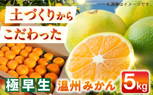 【自然の力を活かした栽培】温州みかん（極早生） 5kg -2024年10月中旬より発送- 長与町/農事組合法人希望種（きぼうのたね） [ECQ001] 1434023 - 長崎県長与町