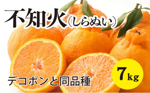 【先行予約】しらぬい約7kg【2025年3月以降発送】不知火 広島 三原 佐木島 鷺島みかんじま デコポン デコちゃん フルーツ 蜜柑 柑橘 果物 みかん ミカン 産地直送 お取り寄せ 017028 776910 - 広島県三原市