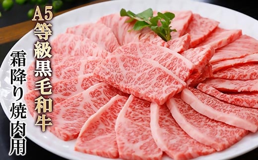 A5等級黒毛和牛霜降り焼肉用 A8-40_ 牛肉 黒毛和牛 焼肉 霜降り 肩ロース ロース A5 鹿児島 セット 贈答 A5 豪華 パーティー グルメ 産直 産地直送 BBQ 【1166302】 1525764 - 鹿児島県枕崎市