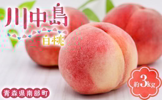 川中島白桃 約3kg（8～12玉） 【泉山果樹園】 青森県 南部町 桃 モモ もも 果物 くだもの フルーツ F21U-467 1434566 - 青森県南部町