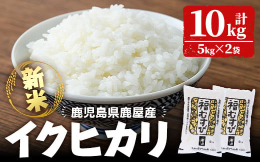 1125-1 令和6年産新米「美里吾平（うましさとあいら）イクヒカリ」10kg［5kg×２袋］【国産 鹿児島県産 米 新米 こめ コメ 】 1021520 - 鹿児島県鹿屋市