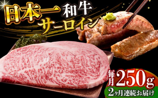 【全2回定期便】【A4～A5】長崎和牛サーロインステーキ　250g（250g×1枚）【株式会社 MEAT PLUS】 [DBS081] 1433524 - 長崎県小値賀町