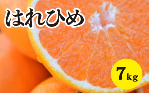 【先行予約】はれひめ約7kg【2025年1月以降発送】新品種 広島 三原 佐木島 鷺島みかんじま フルーツ 蜜柑 柑橘 果物 みかん ミカン 産地直送 お取り寄せ 017019 1078760 - 広島県三原市