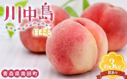 【訳あり】 川中島白桃 約3kg（8～12玉） 【泉山果樹園】 青森県 南部町 モモ もも 果物 くだもの フルーツ 規格外 家庭用 わけあり ワケアリ F21U-468 1434567 - 青森県南部町