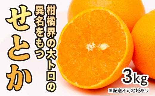 【先行予約】せとか約3kg【2025年2月以降発送】希少 広島 三原 佐木島 鷺島みかんじま フルーツ 蜜柑 柑橘 果物 みかん ミカン 産地直送 お取り寄せ 017020 778157 - 広島県三原市