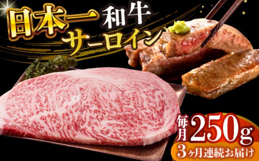 【全3回定期便】【A4～A5】長崎和牛サーロインステーキ　250g（250g×1枚）【株式会社 MEAT PLUS】 [DBS082] 1433525 - 長崎県小値賀町