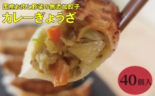 paoの無添加餃子「カレーぎょうざ」640g(約40個) 餃子 ギョーザ 惣菜 冷凍 中華 点心 おかず おつまみ 国産野菜 カレー風味 058006 778150 - 広島県三原市