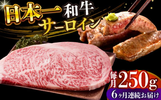 【全6回定期便】【A4～A5】長崎和牛サーロインステーキ　250g（250g×1枚）【株式会社 MEAT PLUS】 [DBS083] 1433526 - 長崎県小値賀町