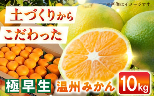 【自然の力を活かした栽培】温州みかん（極早生） 10kg -2024年10月中旬より発送- 長与町/農事組合法人希望種（きぼうのたね） [ECQ002] 1434024 - 長崎県長与町