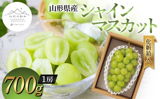 【山形の極み】山形県産 シャインマスカット 700g (1房) 化粧箱入 2024年9月上旬から順次発送 ぶどう 葡萄 果物 フルーツ F2Y-5972 1452023 - 山形県山形県庁