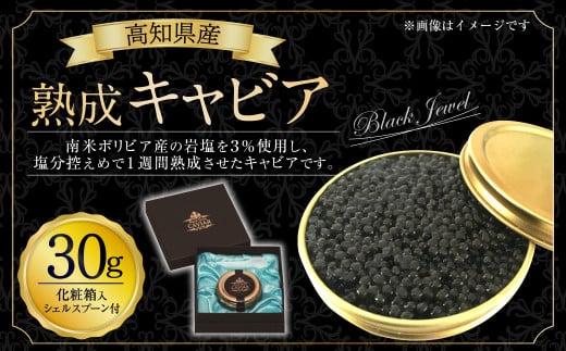 高知県産 熟成 キャビア 30g (化粧箱) シェルスプーン付 Black Jewel