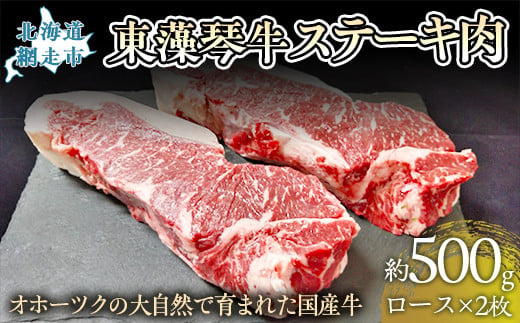 【数量限定】東藻琴牛ステーキ肉【 ふるさと納税 人気 おすすめ ランキング 牛肉 ビーフ 東藻琴牛 国産牛 ひがしもこと牛 ステーキ ステーキ肉 北海道 網走市 送料無料 】 ABM1002