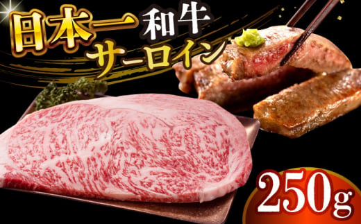 【A4～A5】長崎和牛サーロインステーキ　250g（250g×1枚）【株式会社 MEAT PLUS】 [DBS013] 1433516 - 長崎県小値賀町