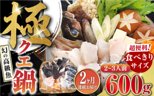 【全2回定期便】対馬 産 クエ 鍋 セット 600g (2～3人前)《対馬市》【対馬地域商社】九州 長崎 海鮮 [WAC056] 1433864 - 長崎県対馬市