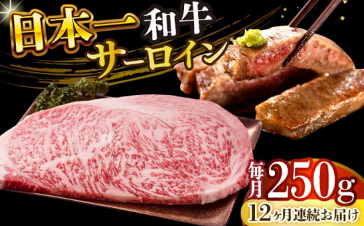 【全12回定期便】【A4～A5】長崎和牛サーロインステーキ　250g（250g×1枚）【株式会社 MEAT PLUS】 [DBS084] 1433527 - 長崎県小値賀町