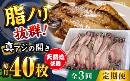 【全3回定期便】漁師町佐島 真アジの開き 40枚セット 干物 横須賀 【石川水産】 [AKCX006] 1528880 - 神奈川県横須賀市