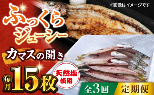 【全3回定期便】漁師町佐島 カマスの開き 15枚セット 干物 横須賀 【石川水産】 [AKCX007] 1528881 - 神奈川県横須賀市