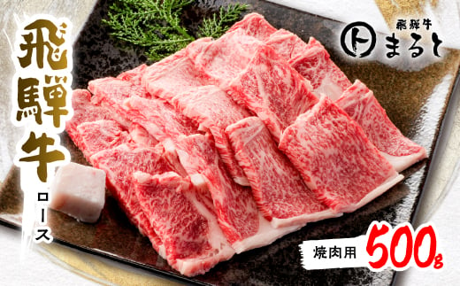 ＜飛騨牛＞ロース(焼肉用)500g【1451224】