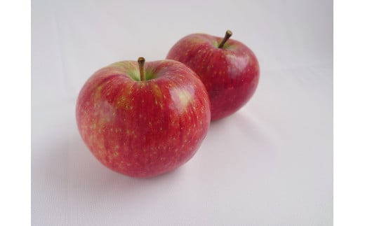 南信州から産地直送！シャキシャキの夏りんご『シナノリップ』5kgサイズ箱【家庭用】 1433561 - 長野県高森町