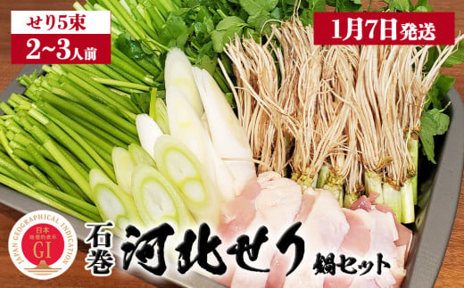 【1月7日発送】せり鍋 セット 2-3人前 せり 長ねぎ パックご飯 スープ 鶏肉 セリ セリ鍋 河北せり 野菜 鍋 1432023 - 宮城県石巻市