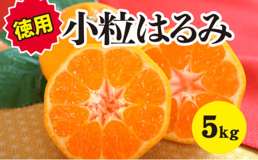 【先行予約・お徳用】小粒はるみ約5kg【2025年2月中旬以降発送】広島 三原 佐木島 鷺島みかんじま フルーツ 蜜柑 柑橘 果物 みかん ミカン 産地直送 お取り寄せ 017024 1243467 - 広島県三原市