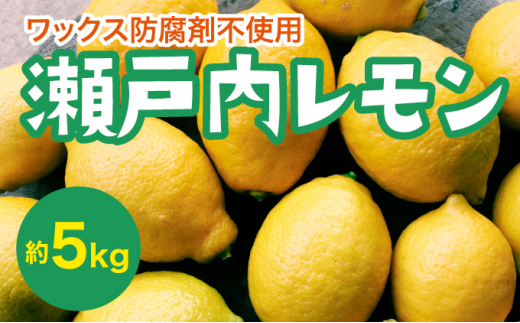 【先行予約】瀬戸内レモン約5kg【2024年11月以降発送】れもん 檸檬 果物 国産 佐木島 フルーツ 広島レモン 産地直送 017031 1116442 - 広島県三原市