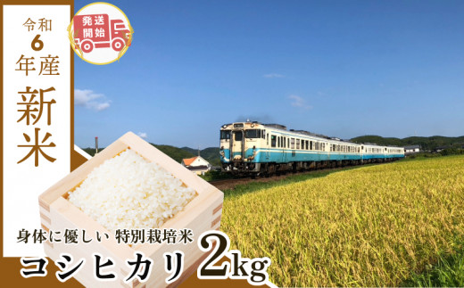 [2週間発送]令和6年産 新米 白米 コシヒカリ 2kg 指定日可 | 特別栽培米 健康 安心 安全 | 新米限定発送 お試し 少量 小分け | 四国 徳島 小松島 | 米 おいしい kome お米 こめ おこめ こしひかり 精米 国産 ごはん ご飯 白飯 ゴハン 人気 コスパ おすすめ TKG 卵かけご飯 おにぎり おむすび |9月 10月 発送 指定日可 着日 指定 発送開始