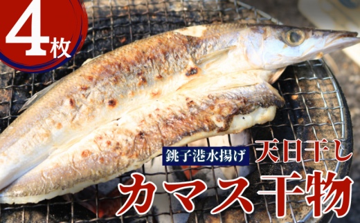 カマス 天日干し カマス干物 4枚 10000円 カマス かます 干物 ひもの かます干物 高級魚 冷凍 無添加 新鮮 地魚 魚 海鮮 焼魚 おかず 朝食 夕食 おつまみ 日本酒 ビール 酒の肴 グルメ お取り寄せ 贈り物 真空パック 個包装 魚介類 銚子港 千葉県 銚子市 〆印島長水産