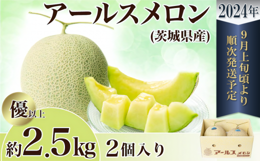 茨城県産アールスメロン約2.5kg（2個）