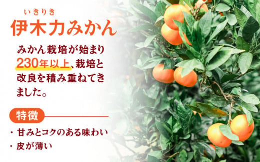 伊木力みかん 「はなまるみかん」贈答 5kg みかん 蜜柑 ミカン 柑橘 フルーツ 果物