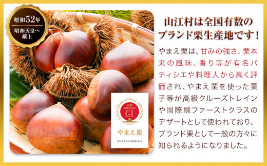 熊本県山江村のふるさと納税 GI認証登録 山江村の やまえ栗 生栗 3kg 品種 利平 やまえ栗ブランド部会 有限会社やまえ堂《9月下旬-10月中旬頃出荷》熊本県 球磨郡 山江村 栗 くり フルーツ 熊本県産 果物 早期 予約