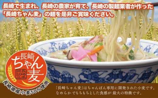 《具材付》長崎冷凍ちゃんぽん (4食) チャンポン 麺 麺類 簡単調理