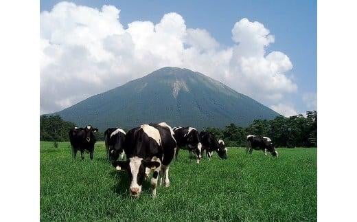 鳥取県琴浦町のふるさと納税 「大山おいしい贈り物」 鳥取県産生乳使用