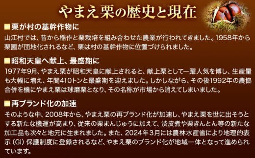 熊本県山江村のふるさと納税 GI認証登録 山江村の やまえ栗 生栗 3kg 品種 利平 やまえ栗ブランド部会 有限会社やまえ堂《9月下旬-10月中旬頃出荷》熊本県 球磨郡 山江村 栗 くり フルーツ 熊本県産 果物 早期 予約