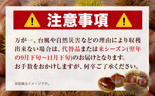 熊本県山江村のふるさと納税 GI認証登録 山江村の やまえ栗 生栗 3kg 品種 利平 やまえ栗ブランド部会 有限会社やまえ堂《9月下旬-10月中旬頃出荷》熊本県 球磨郡 山江村 栗 くり フルーツ 熊本県産 果物 早期 予約