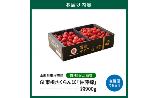 山形県東根市のふるさと納税 【2025年産 先行予約】GI 「東根さくらんぼ」佐藤錦 900g バラ詰め JA園芸部提供  山形県 東根市　hi001-028