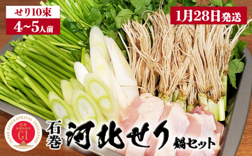 【1月28日発送】せり鍋 セット 4-5人前 せり 長ねぎ パックご飯 スープ 鶏肉 セリ セリ鍋 河北せり 野菜 鍋 1434487 - 宮城県石巻市