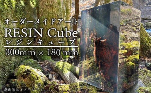 オーダーメイド アート RESIN Cube 300ｍｍ×180ｍｍ インテリア レジン キューブ 自然 静岡県 沼津市 ホテルライク 会社 デザイナー アーティスト おしゃれ 美しい 芸術 置物 玄関