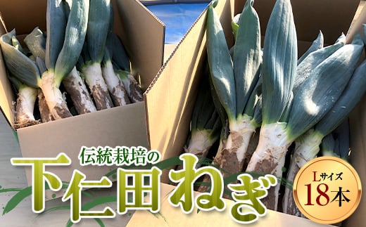 伝統栽培の下仁田ねぎ。寒い冬に最高のすき焼きを♪（L 18本） とろける 甘い ねぎ ネギ 王様ねぎ 殿様ねぎ 特産 栄養たっぷり ブランド 上州ねぎ すきやき F21K-333 1018817 - 群馬県下仁田町