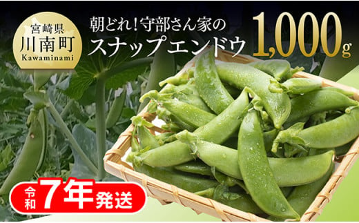 【令和7年発送】朝どれ！守部さん家のスナップエンドウ1.0kg【 野菜 宮崎県産 エンドウ豆 えんどう豆 おつまみ 2025年発送 】